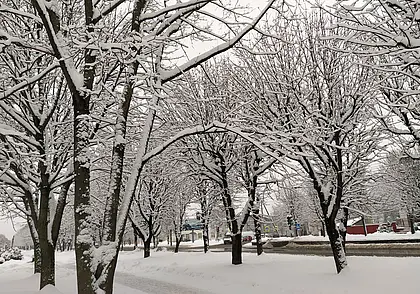 Морозы возвращаются: прогноз погоды на первую неделю января 2023-го