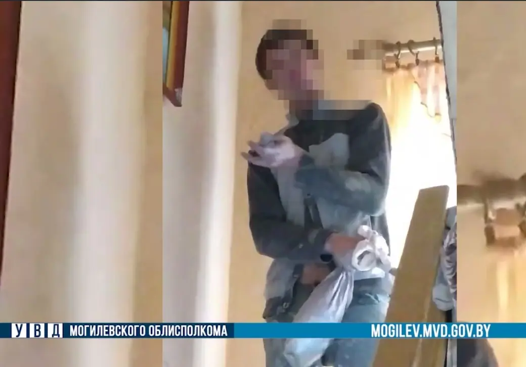 В Глусском районе мужчина проник в чужой дом, а потом бросался на милиционеров с ножом. Фото: УВД