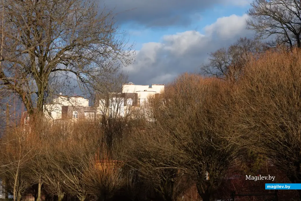 3.01.2023 г. Могилев. В январе, оказывается, тоже бывает «весна»