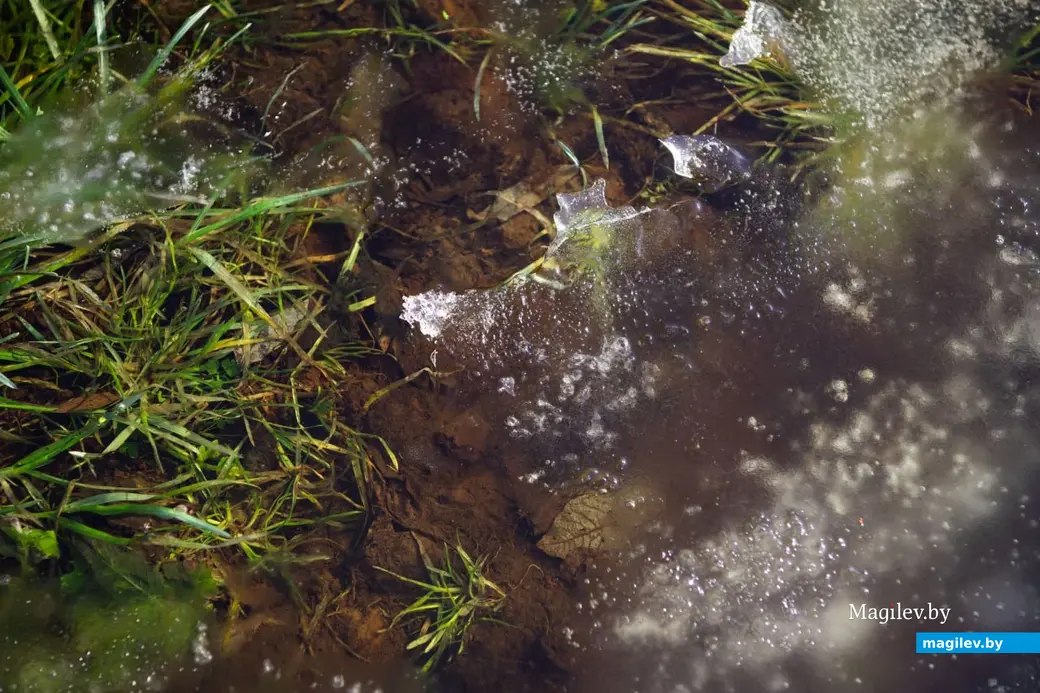 3.01.2023 г. Могилев. В январе, оказывается, тоже бывает «весна»