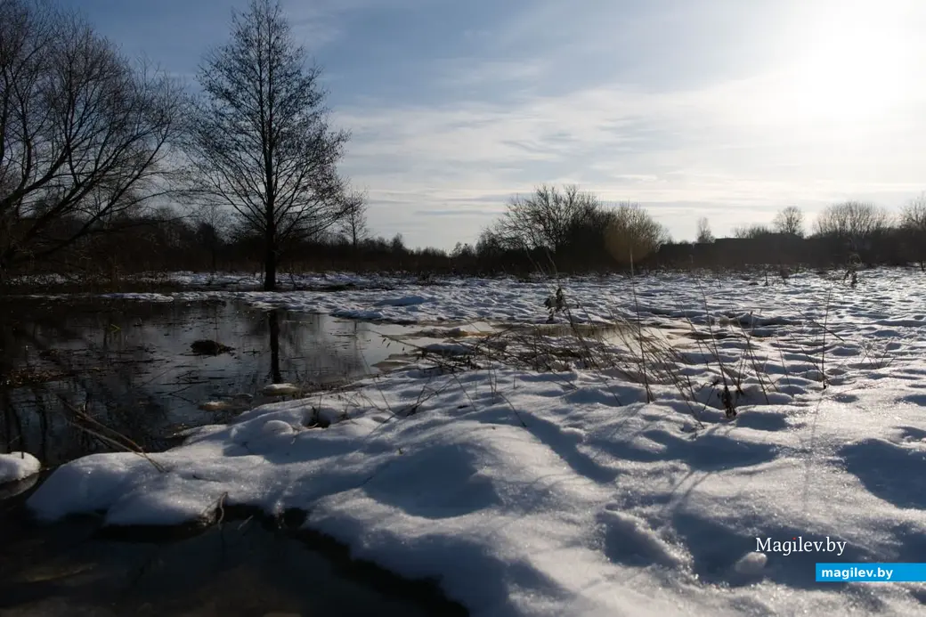 3.01.2023 г. Могилев. В январе, оказывается, тоже бывает «весна»