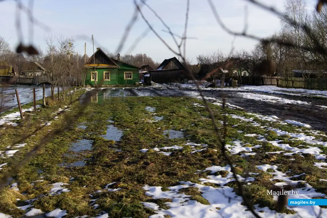 3.01.2023 г. Могилев. В январе, оказывается, тоже бывает «весна»