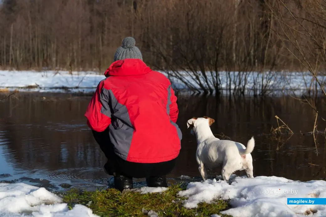3.01.2023 г. Могилев. В январе, оказывается, тоже бывает «весна»
