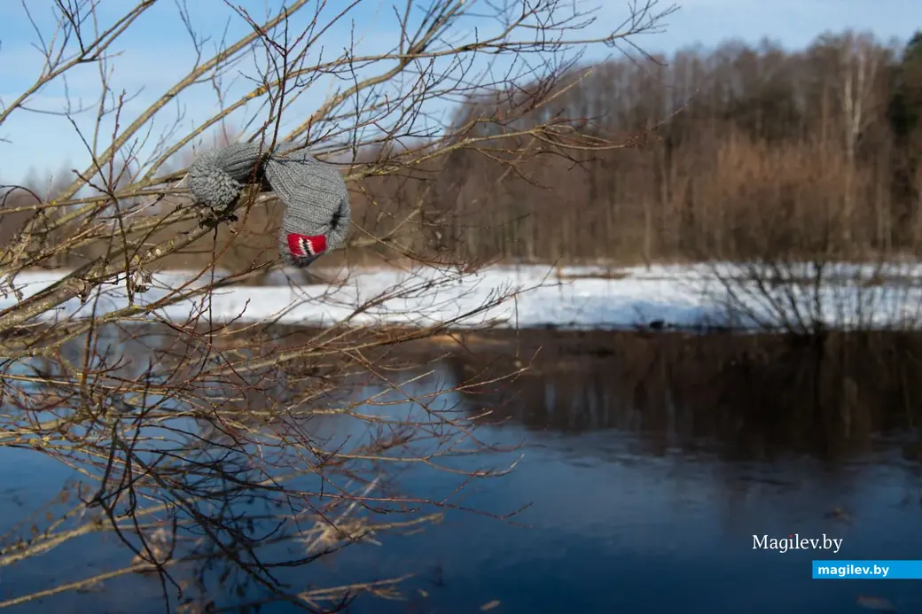 3.01.2023 г. Могилев. В январе, оказывается, тоже бывает «весна»