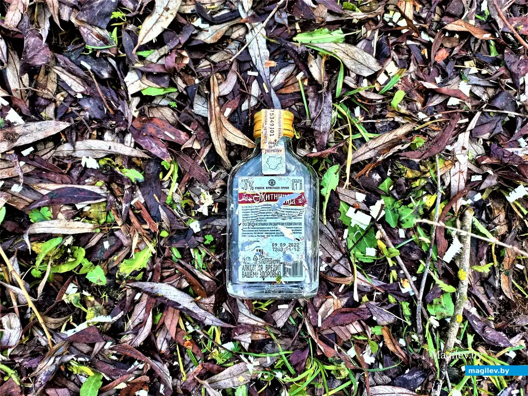 Присутствие двуногих бобров очень легко определяется по наличию примерно таких вот опустошенных флаконов. Могилев, Дубровенка, 04.01.2023 года.