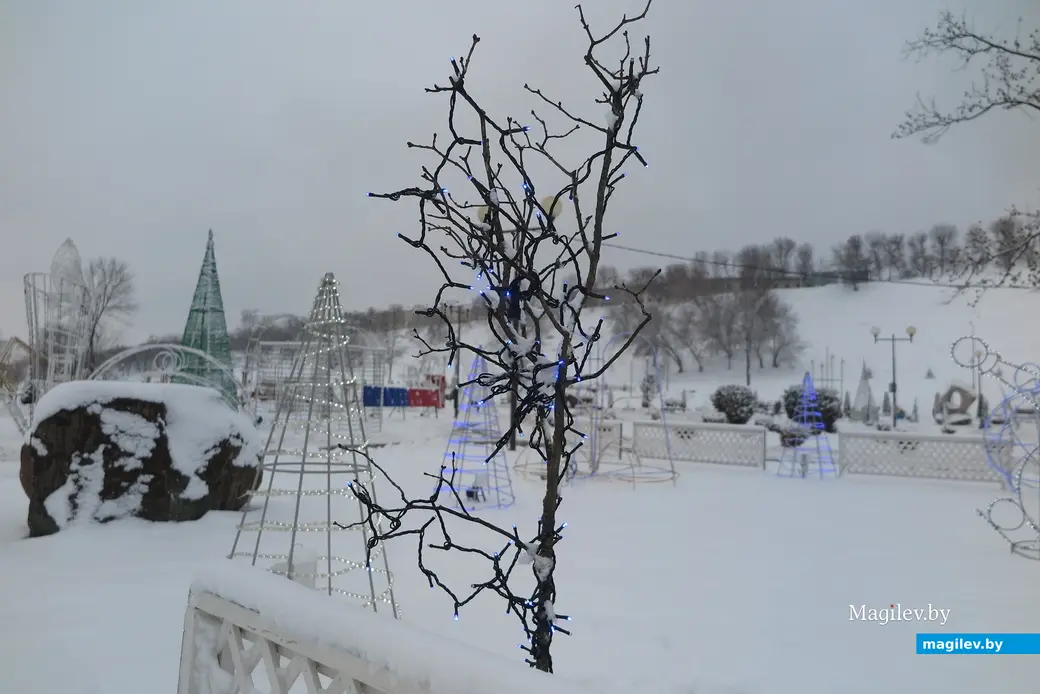 5.01.2023 г. Могилев, парк Подниколье. В город вернулась зима
