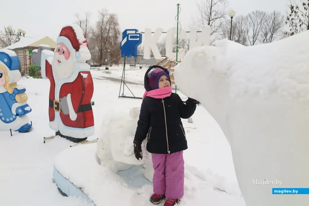 5.01.2023 г. Могилев, парк Подниколье. В город вернулась зима