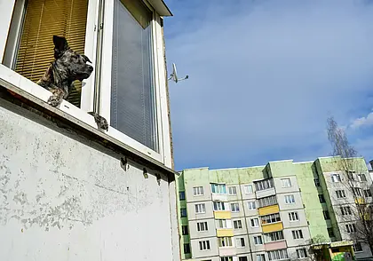 Квартиры и дома в Бобруйске и регионе: предложения на рынке жилья в середине сентября-2025