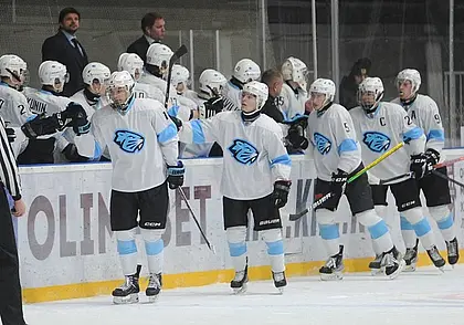 Бобруйский «Динамо-Шинник» выиграл восьмой матч подряд в чемпионате МХЛ