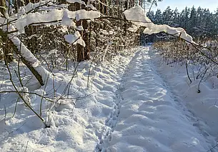 Сильный снегопад ожидается 9 марта. Объявлен желтый уровень опасности