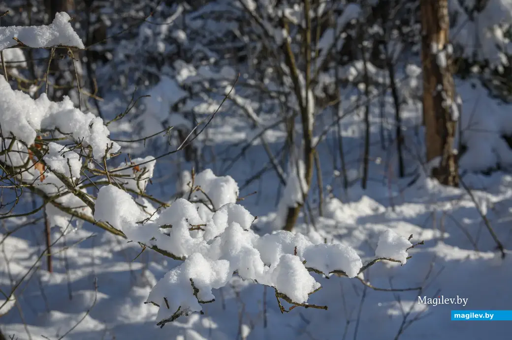 05.12.2022. Химовский сельский Совет. Р93