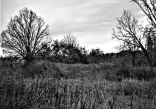 «Джентльмены  Зазеркалья» уходят без аплодисментов