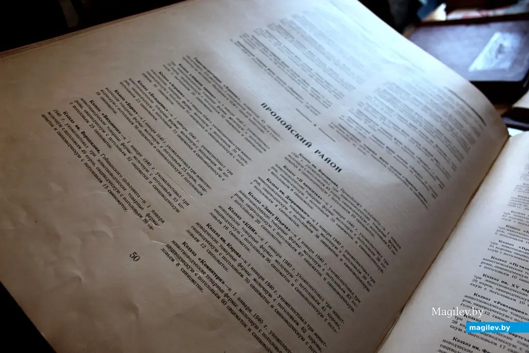 Государственный архив общественных объединений Могилевской области работает по будням с 8.00 до 17.00. Справки по телефонам: 80222-42-26-24; 42-26-37.Могилев, январь,