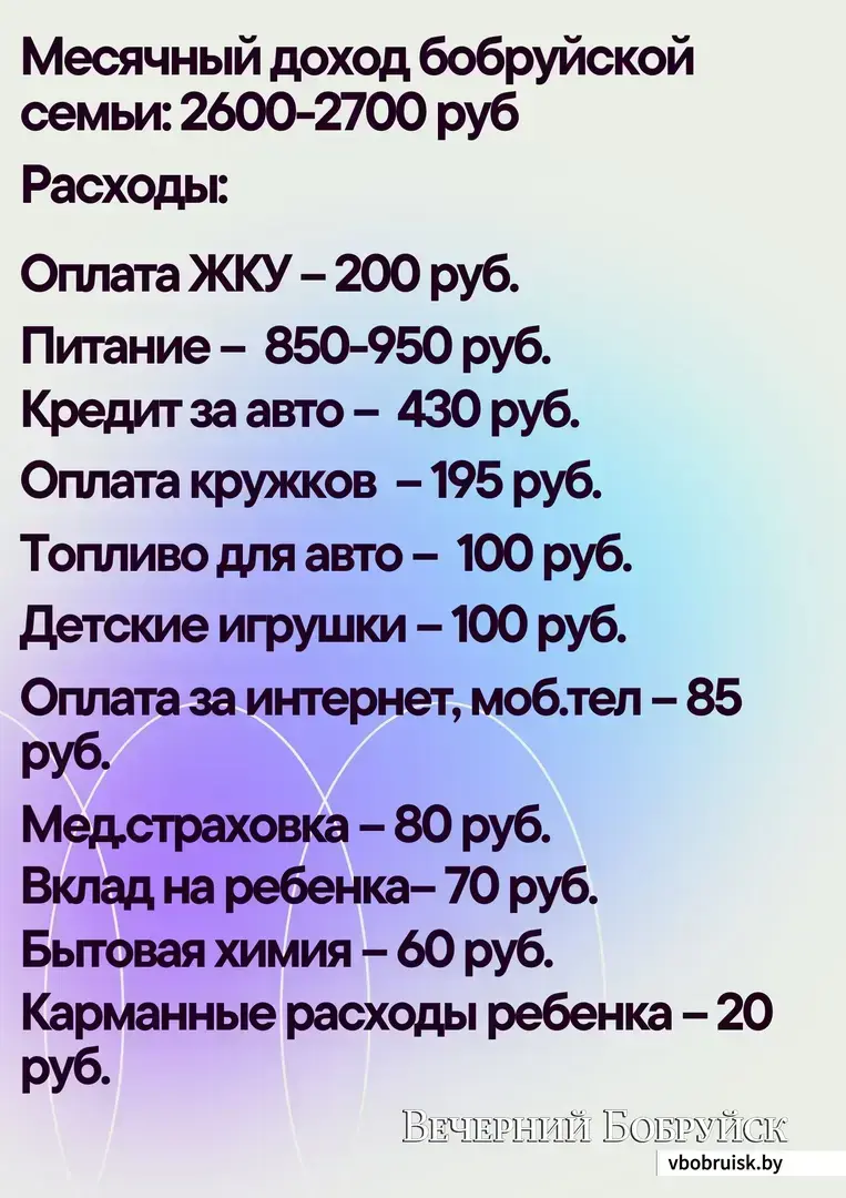 Для учета доходов-расходов использую специальное приложение». О бюджете  своей семьи рассказала мама в декрете | magilev.by