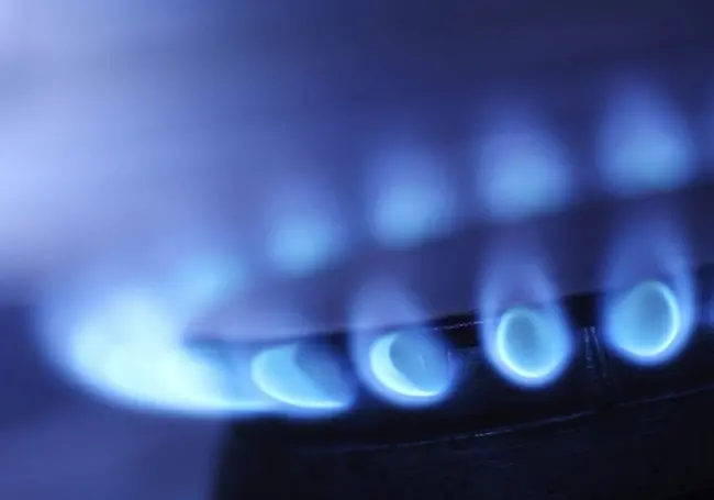 В Беларуси подорожал газ для некоторых потребителей