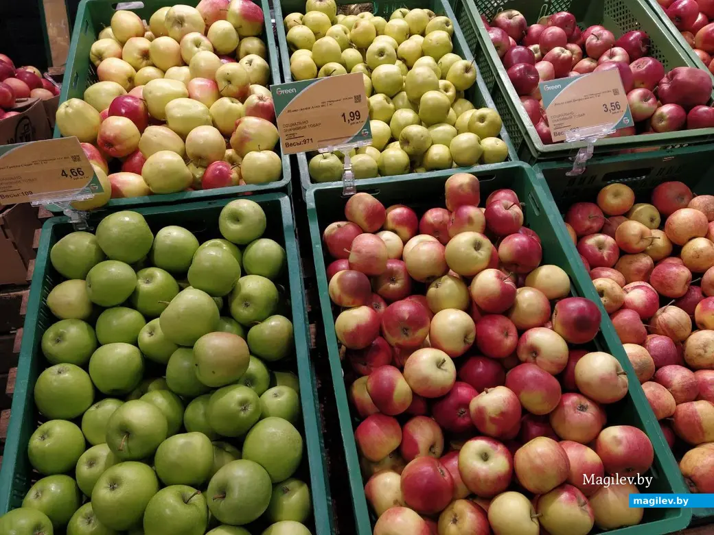 Торговый центр «Грин». Могилев, 13 января 2023 года.