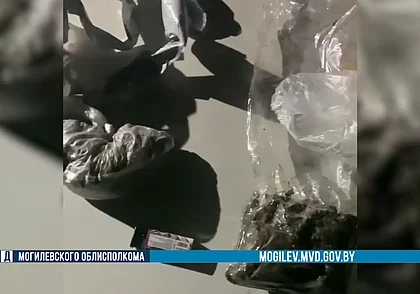 УВД: канал поставки наркотиков перекрыли правоохранители в Могилевской области