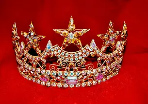 Организаторы несуществующих конкурсов красоты обманули более 20 девушек