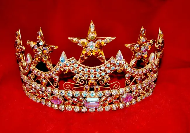 Организаторы несуществующих конкурсов красоты обманули более 20 девушек