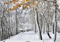 Фотовыставка, посвященная творчеству художника Бялыницкого-Бирули, откроется в Могилеве 25 января