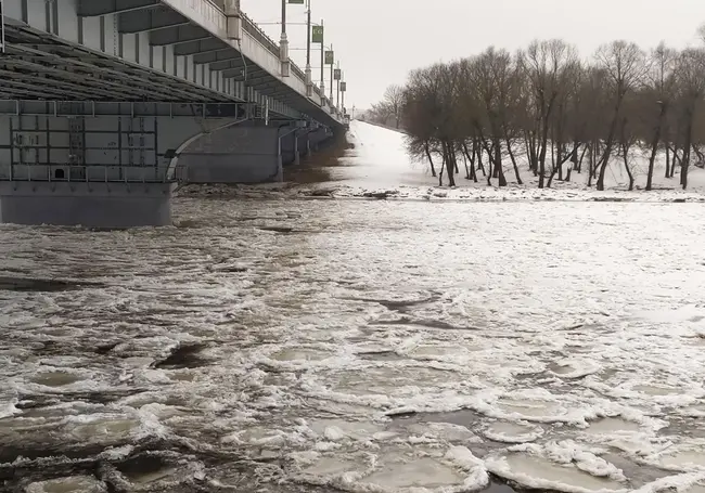В Могилеве на Днепре ледостав с полыньями. Фоторепортаж