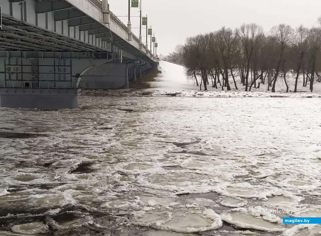 Могилев, река Днепр, 17 января 2023 года.