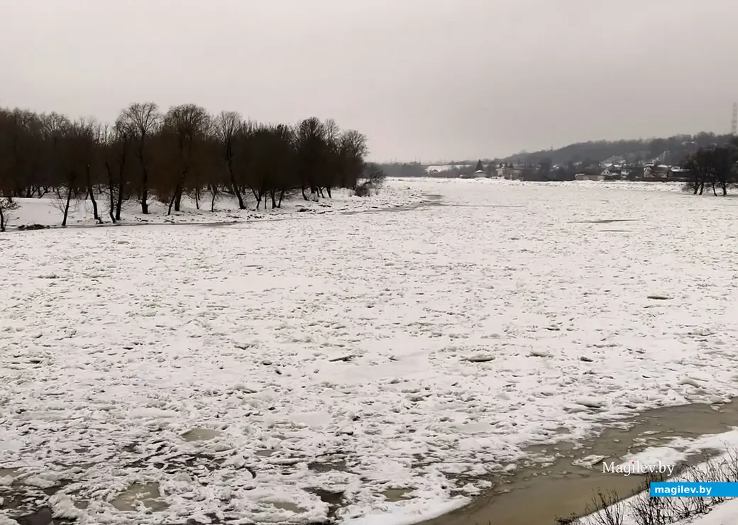 Могилев, река Днепр, 17 января 2023 года.