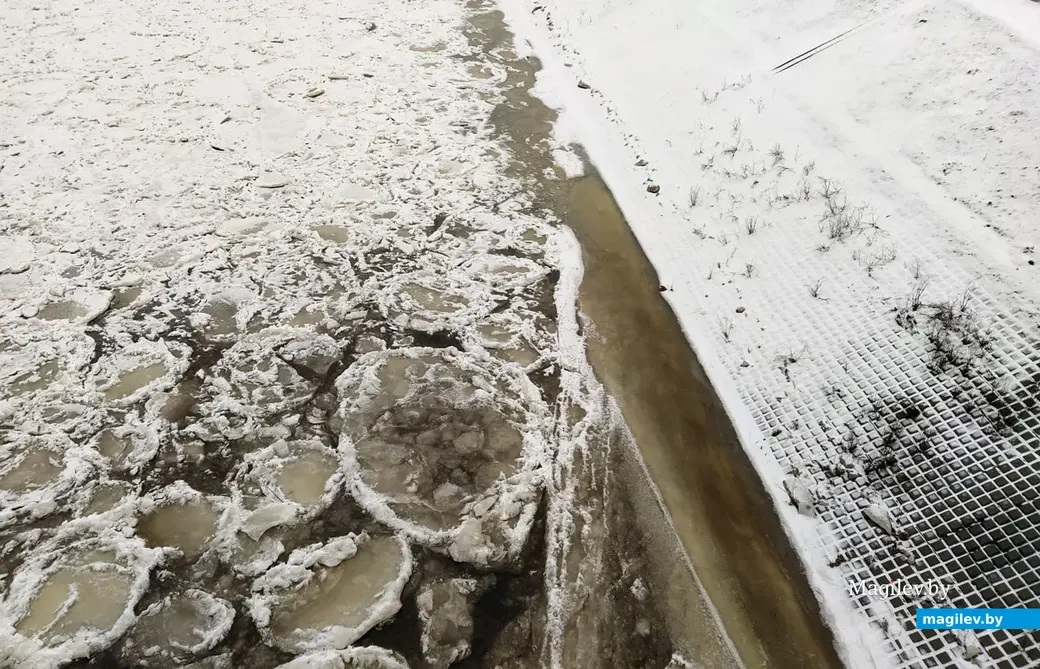 Могилев, река Днепр, 17 января 2023 года.