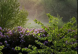 Фотовыставка мастеров Могилева и Осипович откроется 18 января в Могилеве