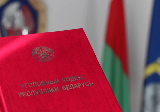 В Могилеве два предпринимателя скрывали своих доходы и недоплатили в бюджет сотни тысяч налогов