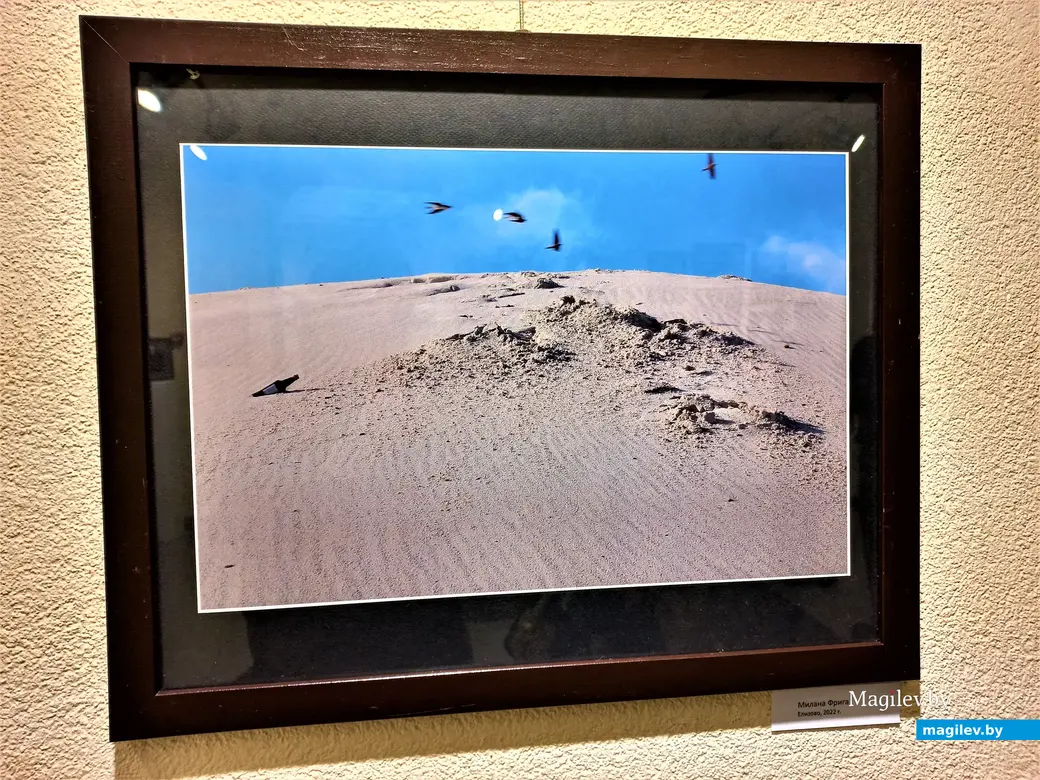 Открытие фотовыставки «Рассвет над Свислочью». Могилев, выставочный зал музея истории Могилева, 18.01.2023 года.