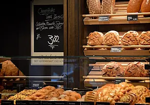 Топ-10 актуальных вакансий с опытом и без в Могилеве