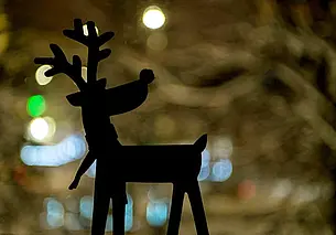 Куда сходить в Могилеве в ближайшие выходные: наш гид