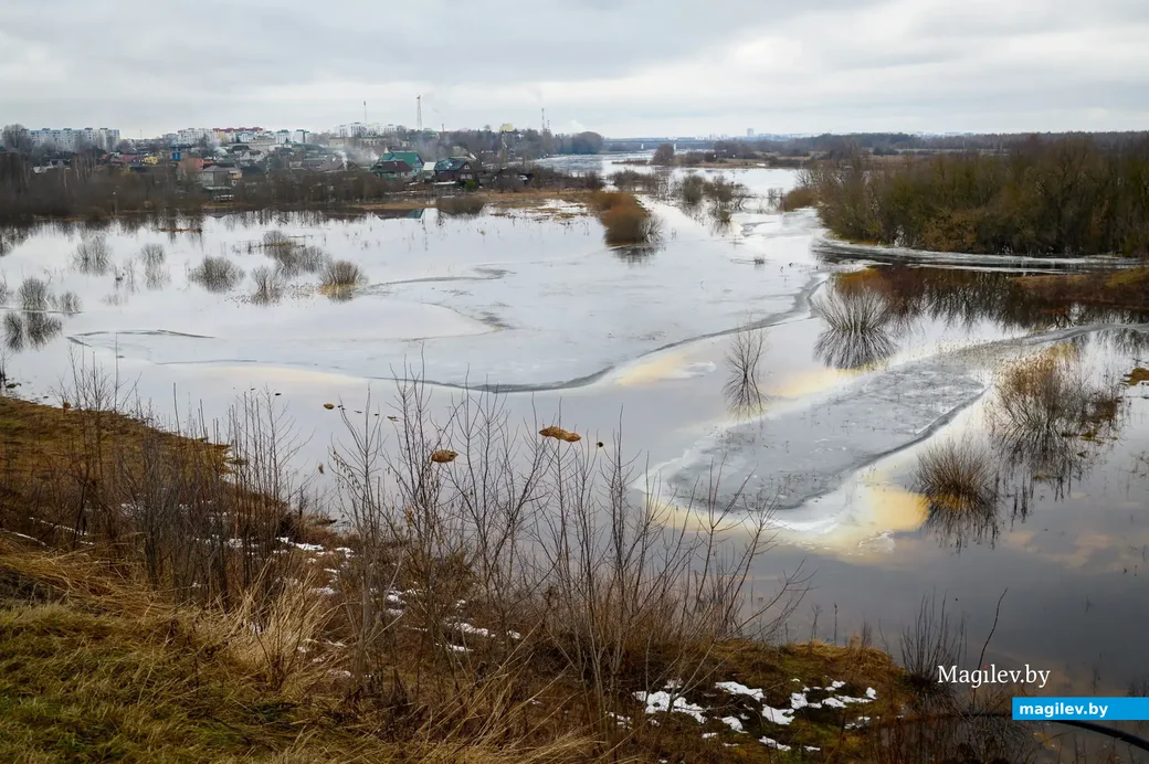 20.01.2023, Бобруйск.