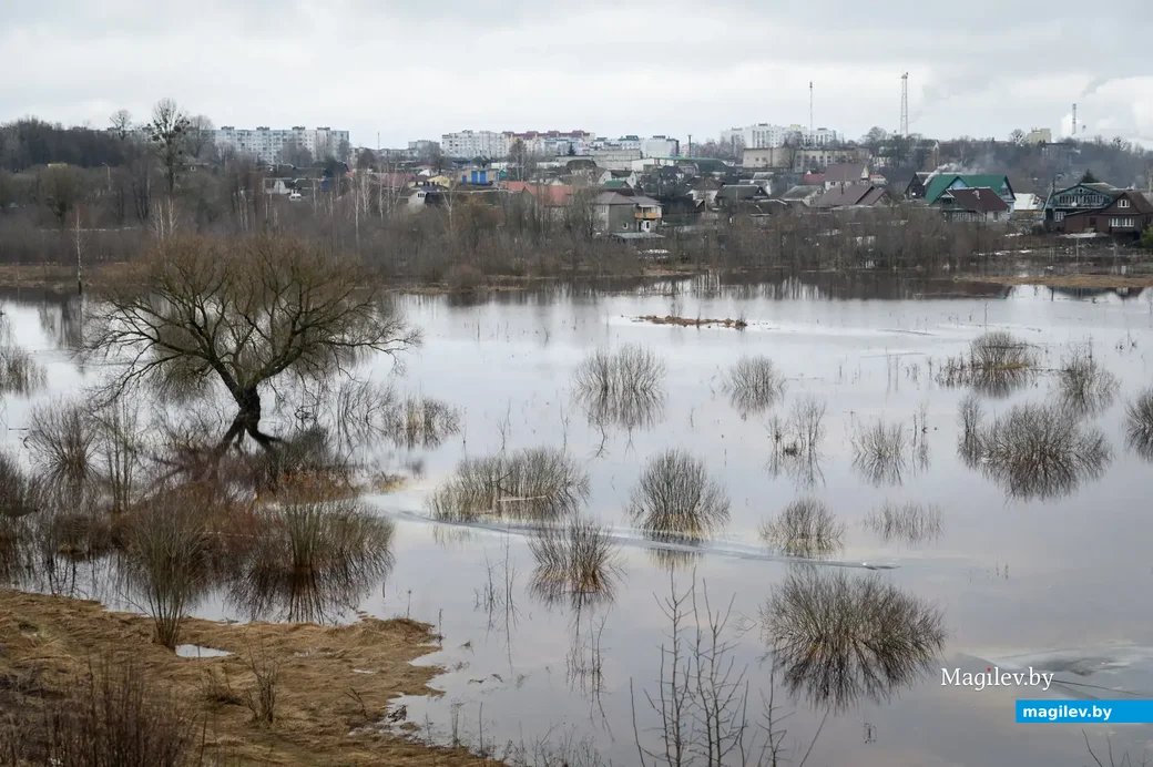 20.01.2023. Бобруйск. Титовский мост. В связи с оттепелью уровень воды в Березине поднялся до