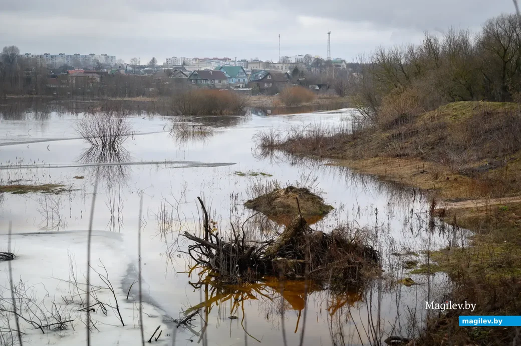 20.01.2023. Бобруйск. Rahačoŭskaja vulica. В связи с оттепелью уровень воды в Березине поднялся до отметки