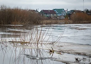 Мокрый снег и до 4 градусов тепла: погода в Могилеве 2 марта