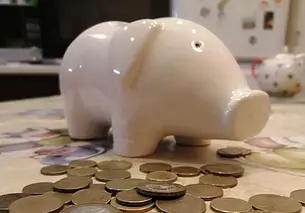 «Была завотделом в библиотеке, а сейчас делаю венки». Могилевчанка рассказала, как искала работу