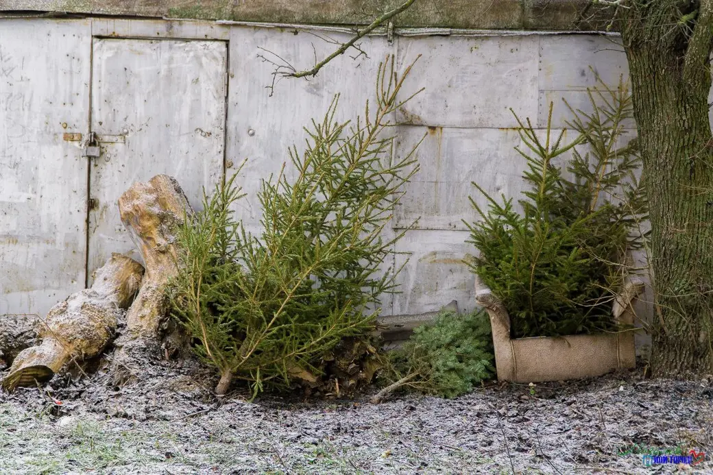 Фото: t.me/moymogilev