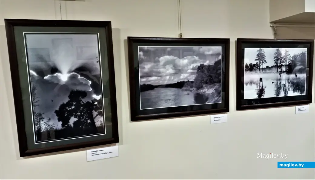 Открытие фотовыставки «Времена года Бялыницкого-Бирули». Могилев, музей Бялыницкого-Бирули, 25.01.2023 года.