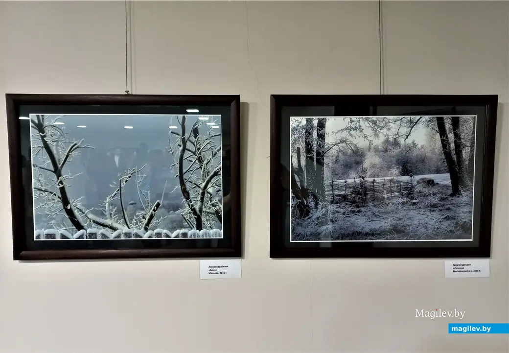Открытие фотовыставки «Времена года Бялыницкого-Бирули». Могилев, музей Бялыницкого-Бирули, 25.01.2023 года.