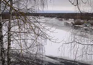 В Беларуси объявили об оранжевом уровне опасности из-за порывистого ветра