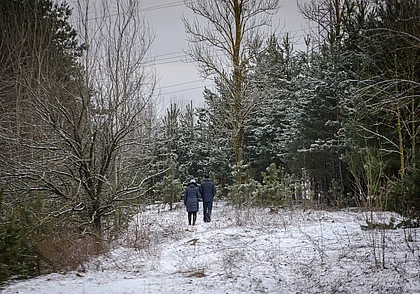 После 1 января в Беларусь придут настоящие морозы. Прогноз погоды на первую неделю 2024 года