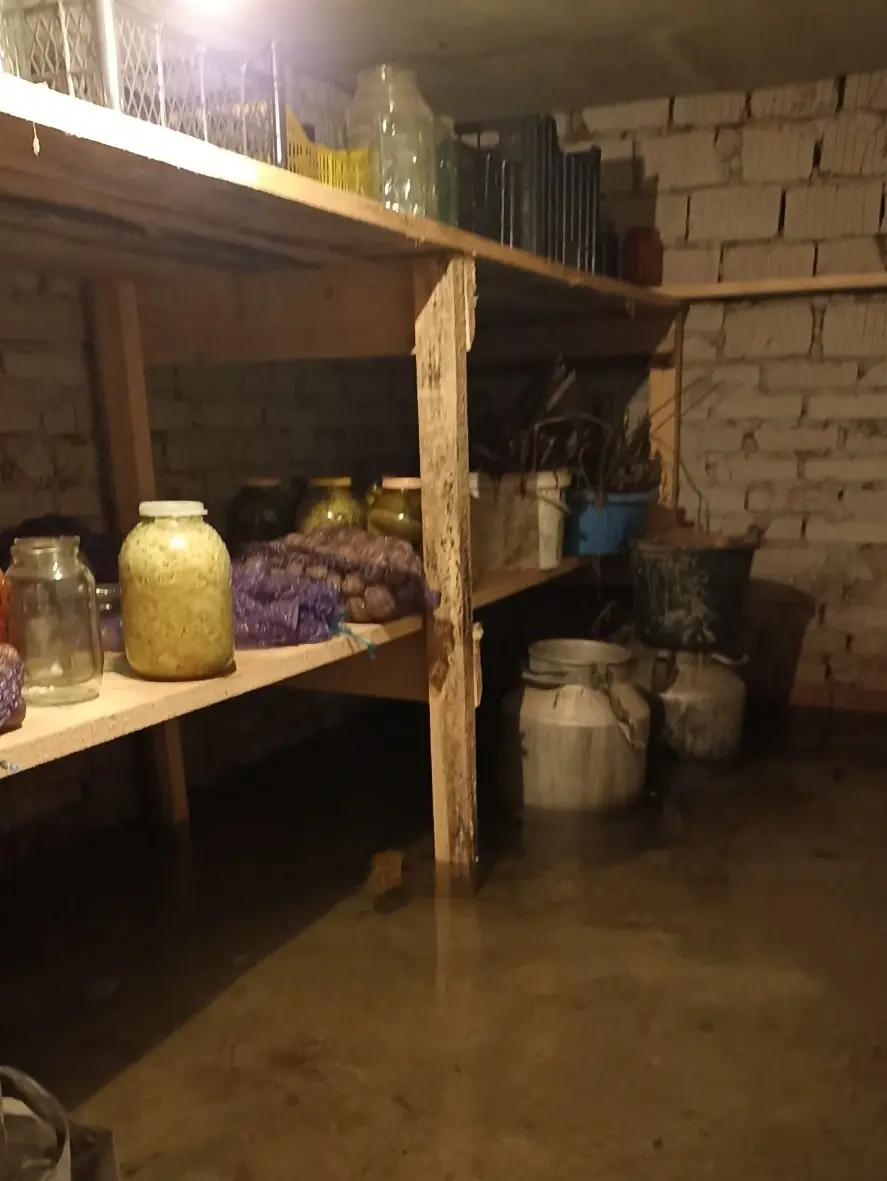 Фото с сайта pniva.by