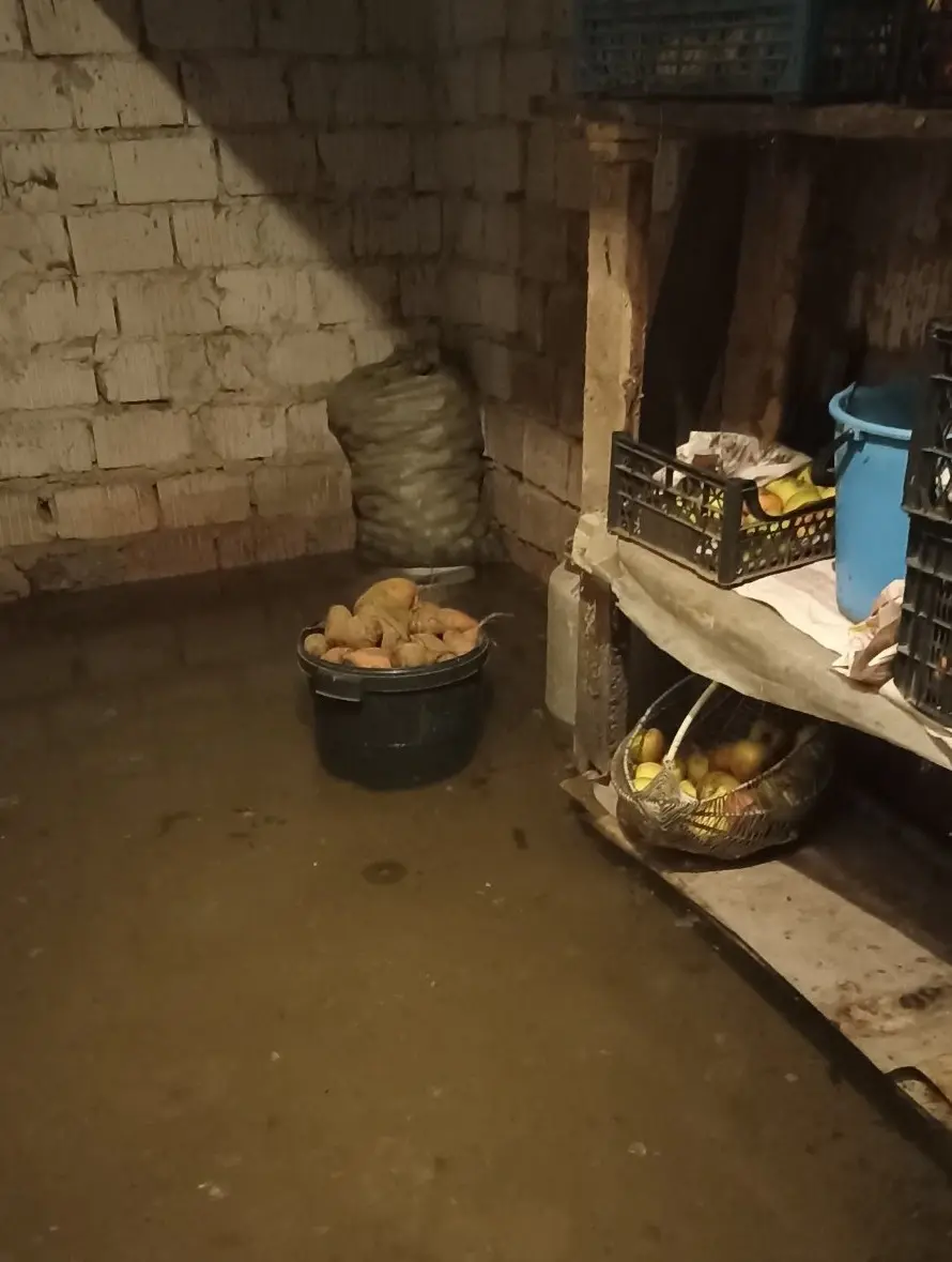 Фото с сайта pniva.by