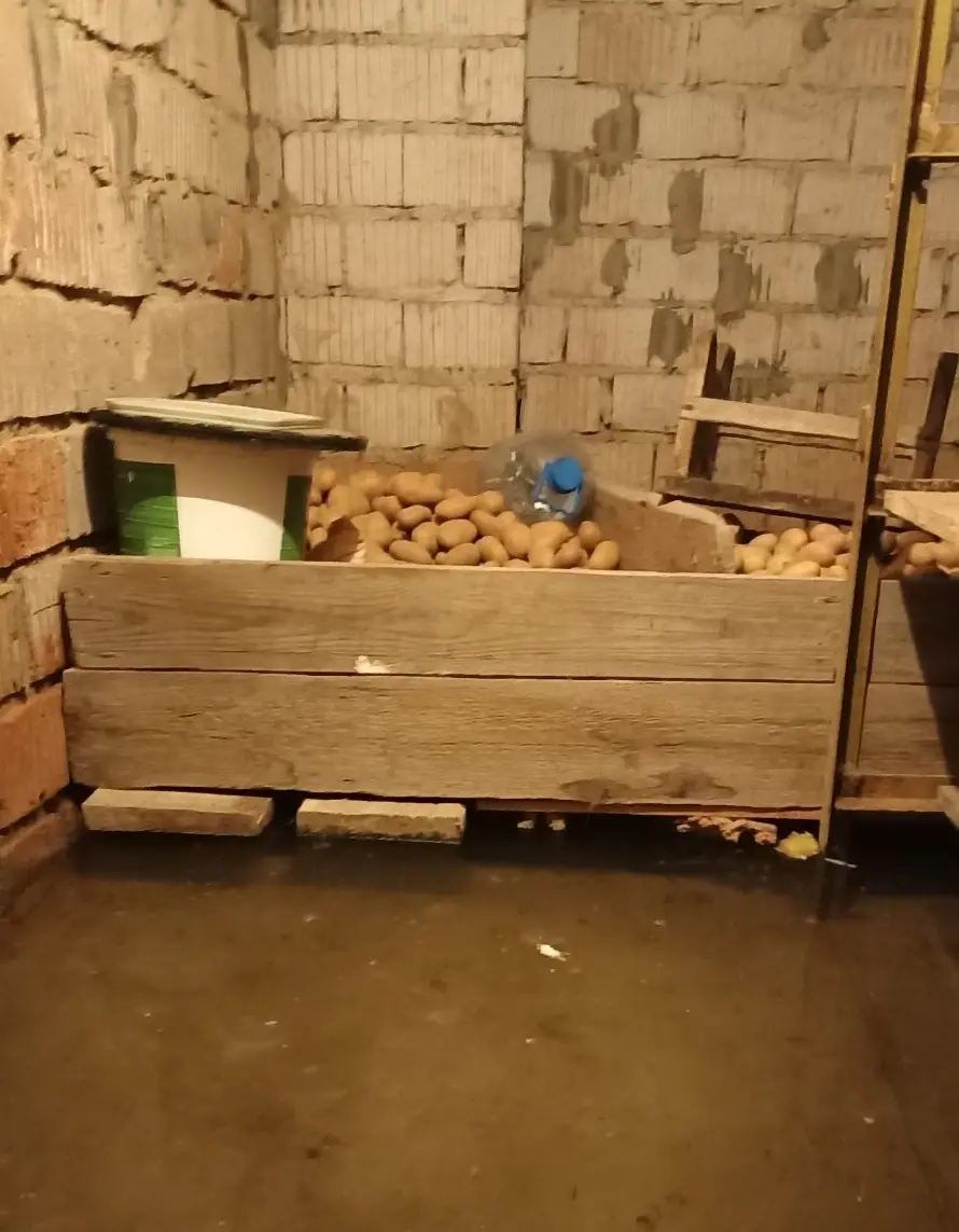 Фото с сайта pniva.by