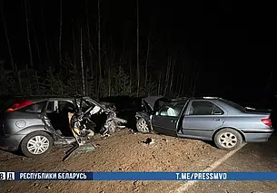 ДТП в Бобруйском районе: два человека погибли