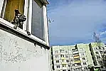 Бросал собак о землю и входную дверь. В Могилеве нашли мужчину с жестокого видео из соцсетей