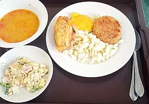 Вкусные биточки и встреча с «джентльменом». Как я сходил в студенческую столовую МГУ