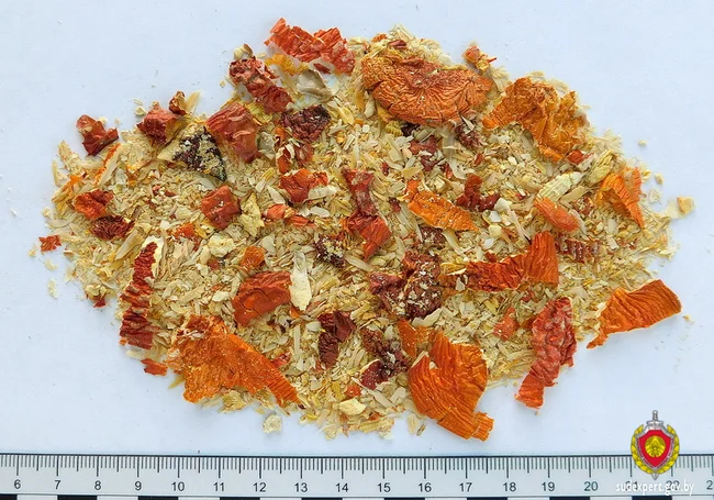 Четверо подростков из Могилева оказались в реанимации из-за съеденных мухоморов